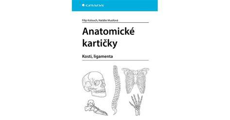 Mediolaterální epiziotomie anatomické schéma